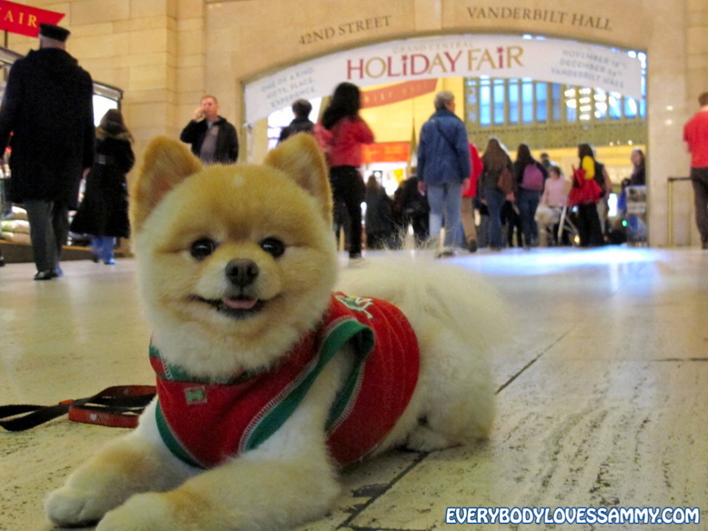 Holiday Fair at Grand Central 