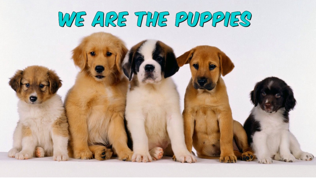 We Are The Puppies