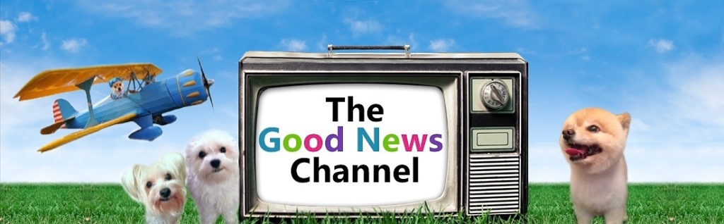 The Good News Channel