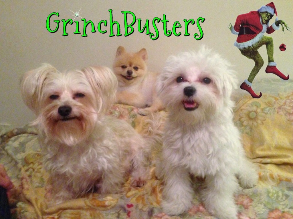 Grinchbusters 